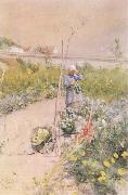 Carl Larsson In the Kitchen Garden oil